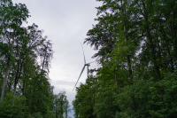 WM-Wald-5-2024-06954_ergebnis