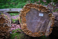 jj_406ober-ramstadt_ergebnis