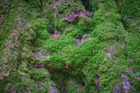 jj_412ober-ramstadt_ergebnis