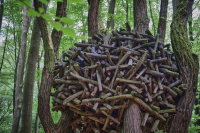 jj_414ober-ramstadt_ergebnis