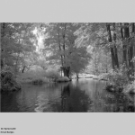 Im Spreewald