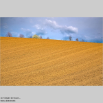 Im Frühjahr der Bauer....