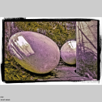 Eier
