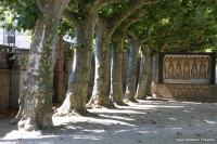 Platanenhain Darmstadt