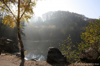 Waldsee am Morgen