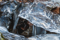 Eisige Phantasietiere