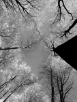 Aufragend 1
