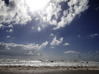 Elston - Surfers Paradise