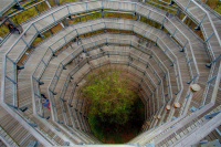 Baumwipfelpfad Prora (Rügen)