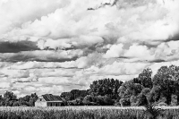 Reinheimer Teich