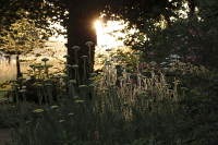 Letztes Licht