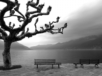 Ruhebänke am Lago Maggiore