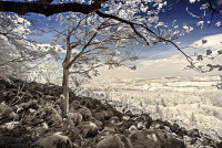 Rhönlandschaft (IR)