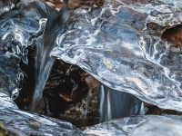 Eisige Phantasietiere