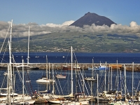 Am neuen Vulkan Capelinhos