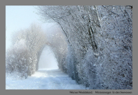 Wintermorgen
