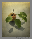 Ernte  18