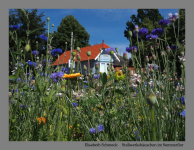 Stellwerkshäuschen im Sommerflor