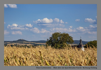 Blick über die Spachbrücker Kirche