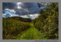 Feldrain an der Gersprenz