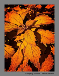 Herbstfarben