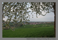 Frühling am Forstberg