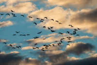 Himmel über Müritz