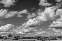 Himmel über dem Reinheimer Teich