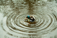 JP-Konzentrische-Kreise