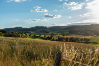 TS_Odenwald-Toskana_70D_39658_entwLR