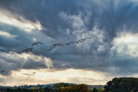 ww_Formationsflug_IMG_1653lum