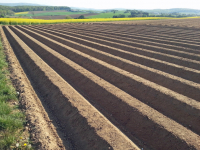 01-UF-Fruehjahrsacker