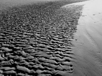 03-UE-Struktur-Watt-SW