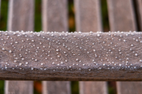 10-SE_Erster-Frost_G5x_3020_entwLR