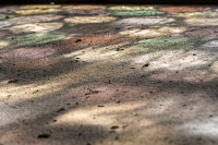 11-SE_Kloster-Eberbach_G5x_3404_entwLR