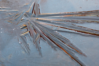 14-wm-Ueberfrorener-Teich