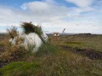 Verfall und Neubeginn