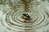 JP-Konzentrische-Kreise