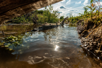 TS_Wembach_70D_39788-Bearbeitet_entwLR