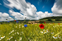 TS_Windig_70D_38960-PS-Bearbeitet_Ebenen_entwLR