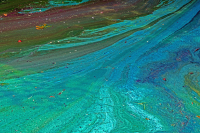 14-GS-Blaualgenspuren