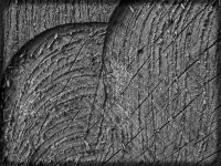 15-WS-Saegespuren_205274