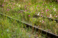 08-TS_R6_012754_entwLR_Gleisspur