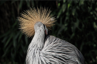 GS-IMG_4028-Ein-schoener-Ruecken...