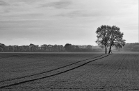 GS-IMG_7533-Querbeet