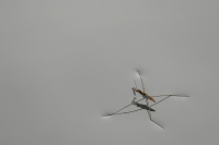 13-TS_R6_021924-Verbessert-RR_entwLR