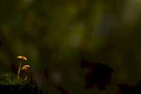 14-TS_R6_013984_entwLR