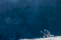 15-TS_R6_014986_entwLR