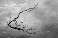 16-SE_G5x_4783-CR2_DxO_DeepPRIME_entwLR