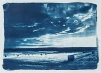 WM-Cyanotypie-Abendlicht-